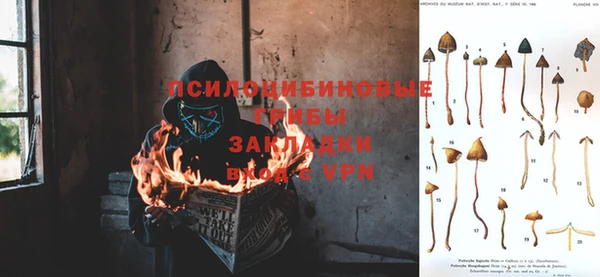 а пвп мука Арсеньев
