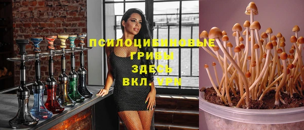а пвп мука Арсеньев