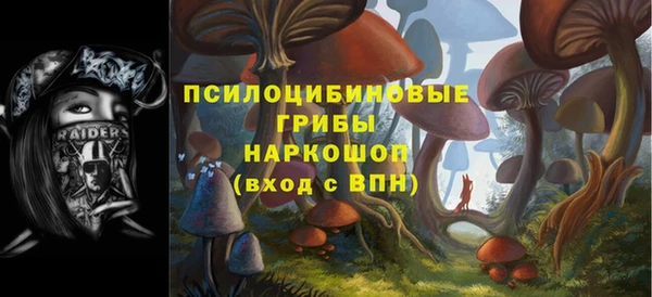 мдпв Армянск