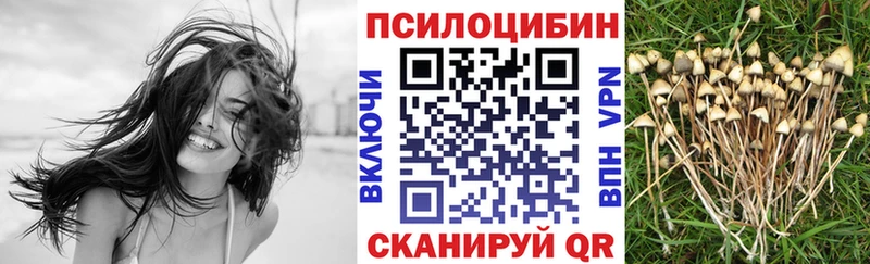 наркошоп  Бабушкин  Псилоцибиновые грибы Cubensis 